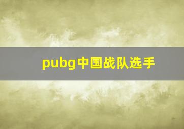 pubg中国战队选手