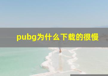 pubg为什么下载的很慢