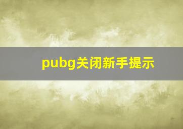 pubg关闭新手提示