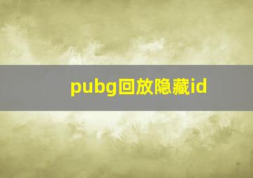 pubg回放隐藏id