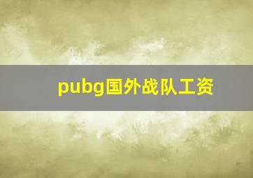 pubg国外战队工资