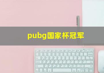 pubg国家杯冠军