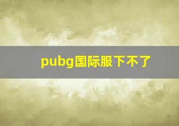 pubg国际服下不了