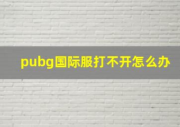 pubg国际服打不开怎么办