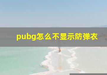 pubg怎么不显示防弹衣