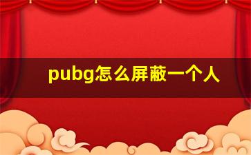 pubg怎么屏蔽一个人