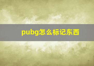 pubg怎么标记东西