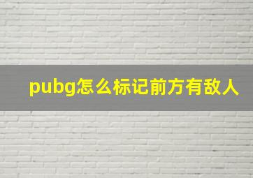 pubg怎么标记前方有敌人