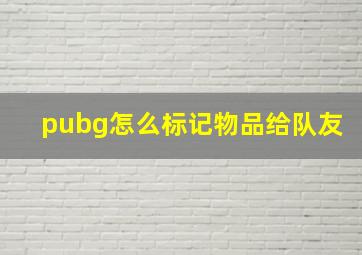 pubg怎么标记物品给队友