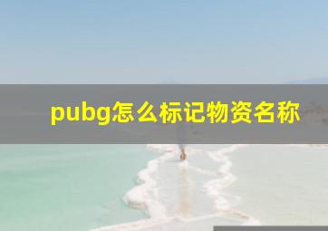 pubg怎么标记物资名称