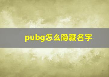 pubg怎么隐藏名字