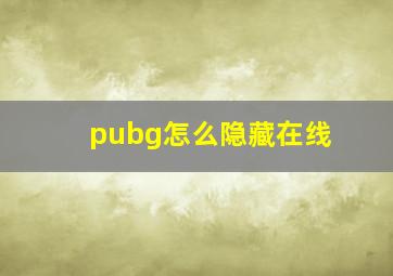 pubg怎么隐藏在线