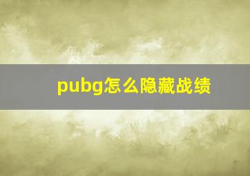 pubg怎么隐藏战绩