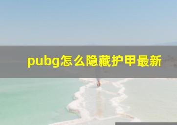 pubg怎么隐藏护甲最新