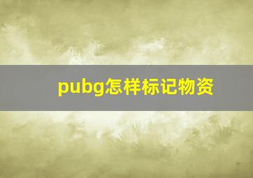 pubg怎样标记物资