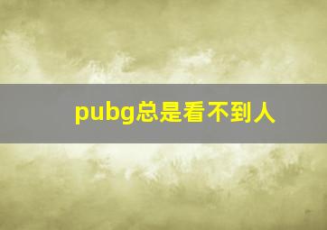 pubg总是看不到人