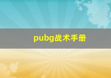 pubg战术手册