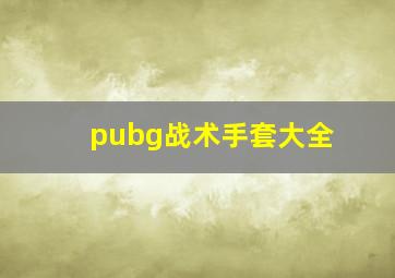 pubg战术手套大全