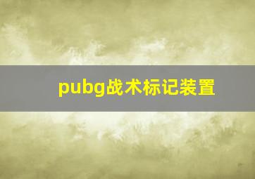 pubg战术标记装置