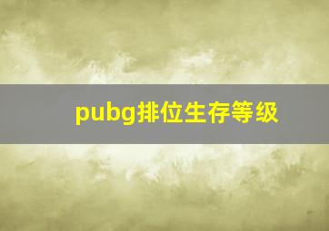 pubg排位生存等级