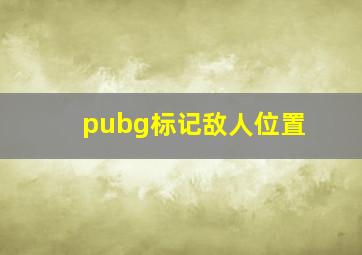 pubg标记敌人位置