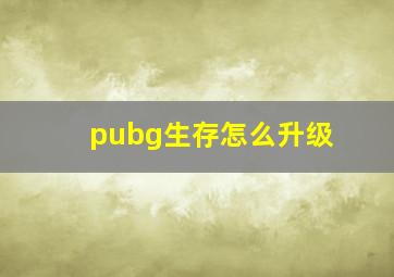 pubg生存怎么升级