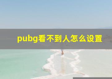 pubg看不到人怎么设置