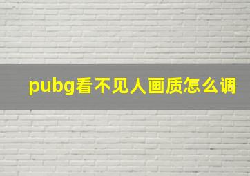 pubg看不见人画质怎么调