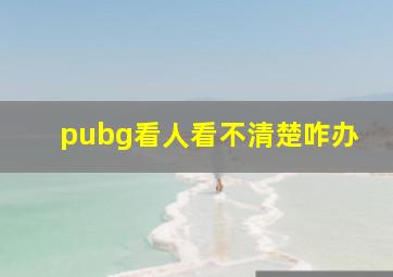 pubg看人看不清楚咋办