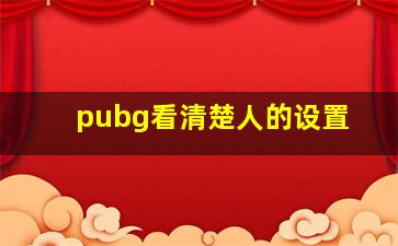 pubg看清楚人的设置