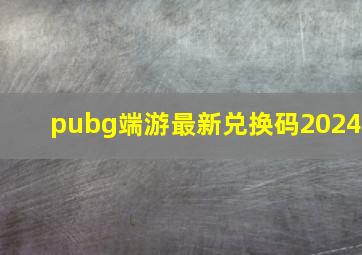 pubg端游最新兑换码2024