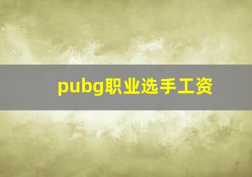 pubg职业选手工资