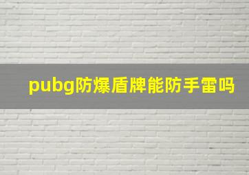 pubg防爆盾牌能防手雷吗