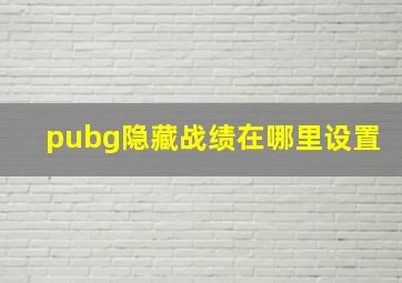 pubg隐藏战绩在哪里设置