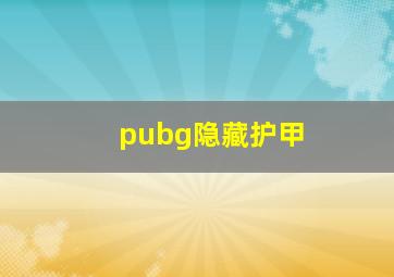 pubg隐藏护甲