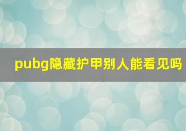 pubg隐藏护甲别人能看见吗