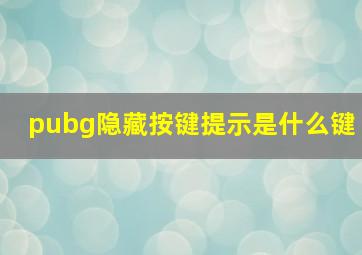 pubg隐藏按键提示是什么键