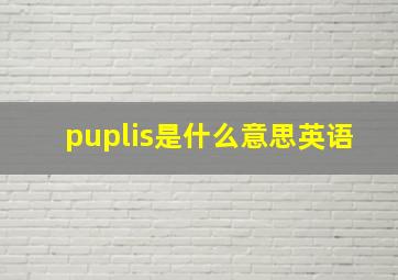 puplis是什么意思英语