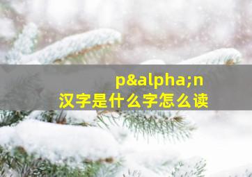 pαn汉字是什么字怎么读