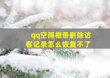 qq空间相册删除访客记录怎么恢复不了