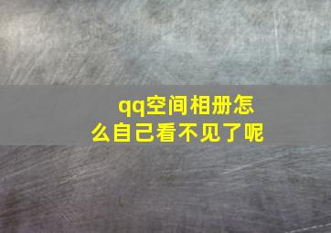 qq空间相册怎么自己看不见了呢