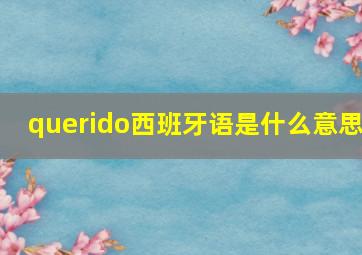 querido西班牙语是什么意思