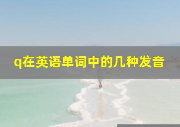 q在英语单词中的几种发音