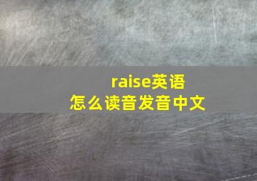 raise英语怎么读音发音中文