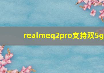 realmeq2pro支持双5g