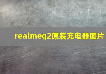 realmeq2原装充电器图片