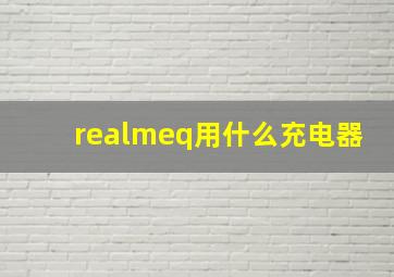 realmeq用什么充电器