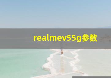 realmev55g参数