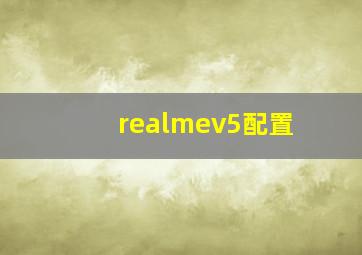 realmev5配置