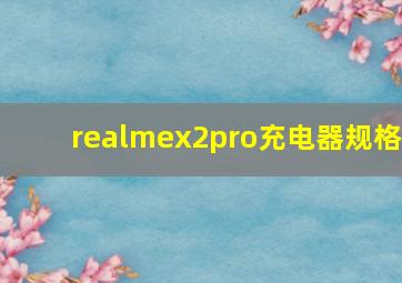 realmex2pro充电器规格